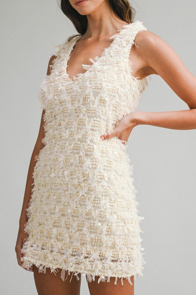 Applique Plunge Neck Sleeveless Mini Dress