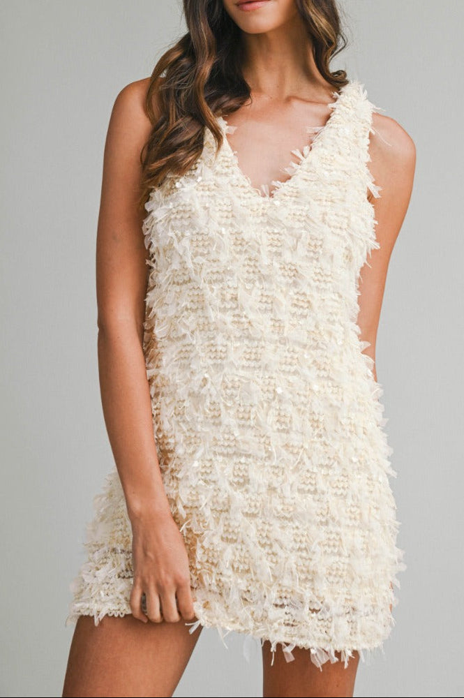 Applique Plunge Neck Sleeveless Mini Dress