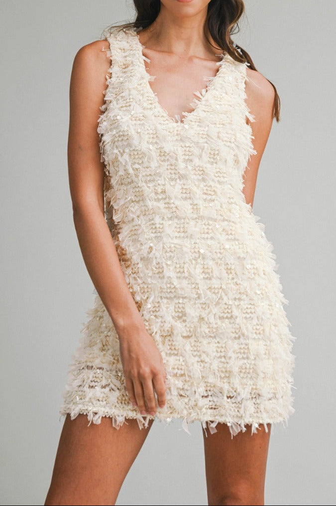 Applique Plunge Neck Sleeveless Mini Dress